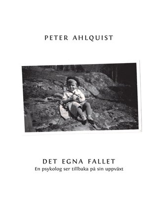 cover image of Det egna fallet